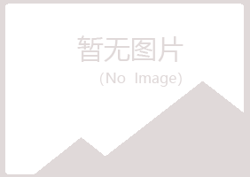 安图县小玉能源有限公司